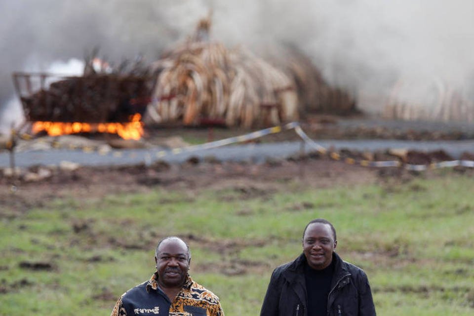 Presidentes do Quênia e do Gabão queimam toneladas de marfim