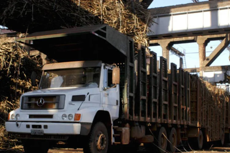 
	Caminh&otilde;es s&atilde;o carregados com cana de a&ccedil;&uacute;car em uma das instala&ccedil;&otilde;es da Cosan em Piracicaba, no interior de S&atilde;o Paulo
 (JC Franca/Bloomberg News)