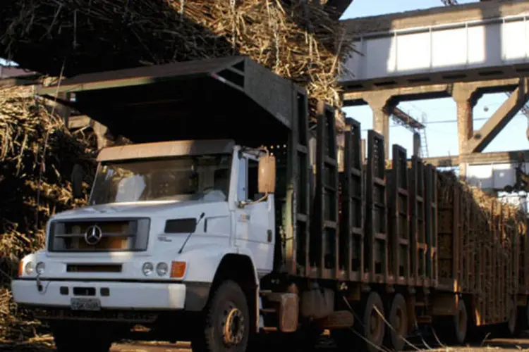 Caminhões são carregados com cana de açúcar em uma das instalações da Cosan em Piracicaba, no interior de São Paulo (JC Franca/Bloomberg News)