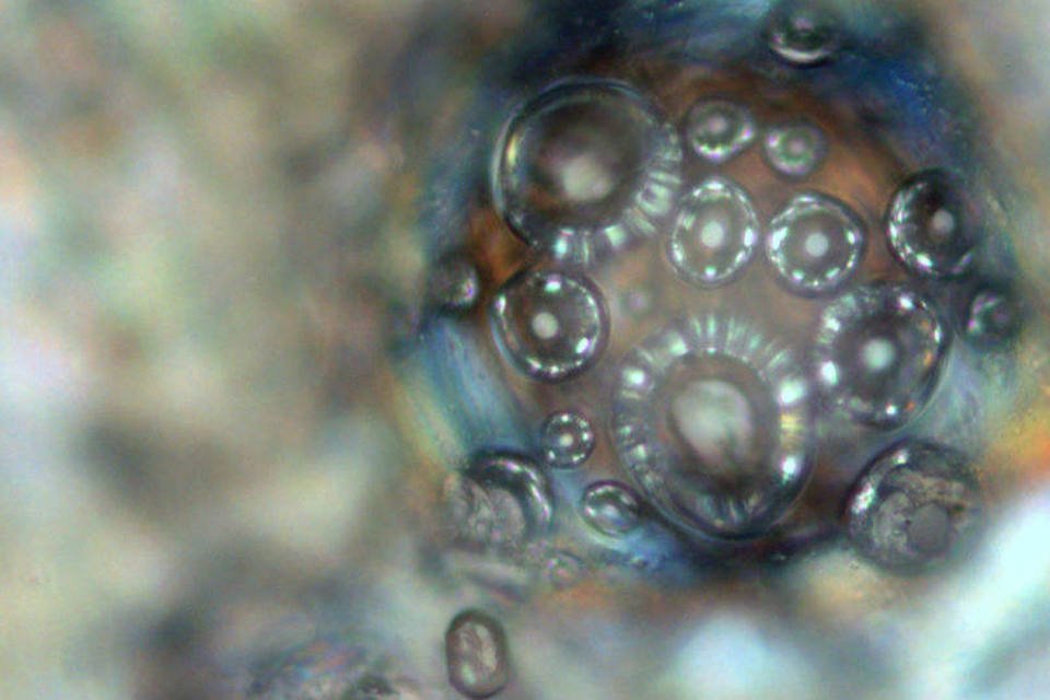 Novo biovidro reduz risco de falhas em implantes de titânio