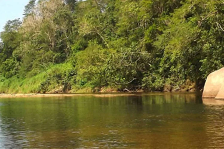 
	Rio Itapanha&uacute;: o projeto, criticado por cientistas e ambientalistas, envolve a capacita&ccedil;&atilde;o de &aacute;gua de uma regi&atilde;o preservada no litoral norte
 (Reprodução/Sabesp)