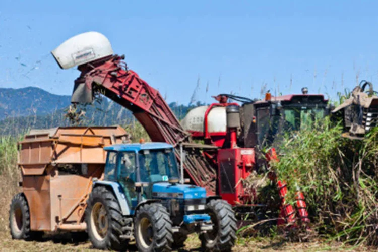 
	Cana de a&ccedil;&uacute;car: estimativa para o a&ccedil;&uacute;car ficou em 32,8 milh&otilde;es de toneladas em 2014/15, ante 33 milh&otilde;es de toneladas projetadas anteriormente
 (Getty Images)