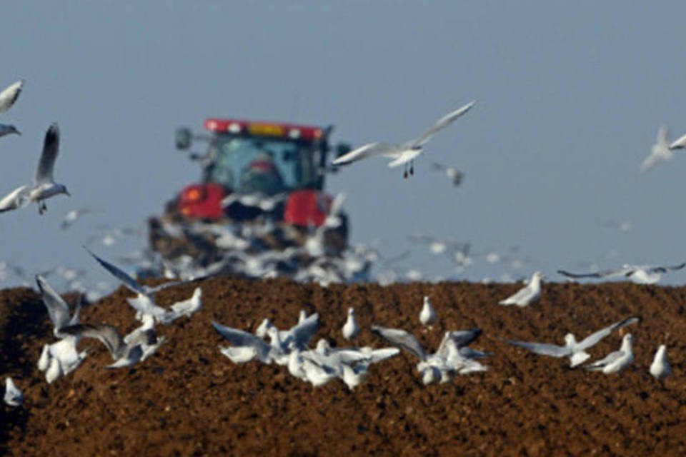 Brasil vai propor que G20 não aumente subsídios agrícolas