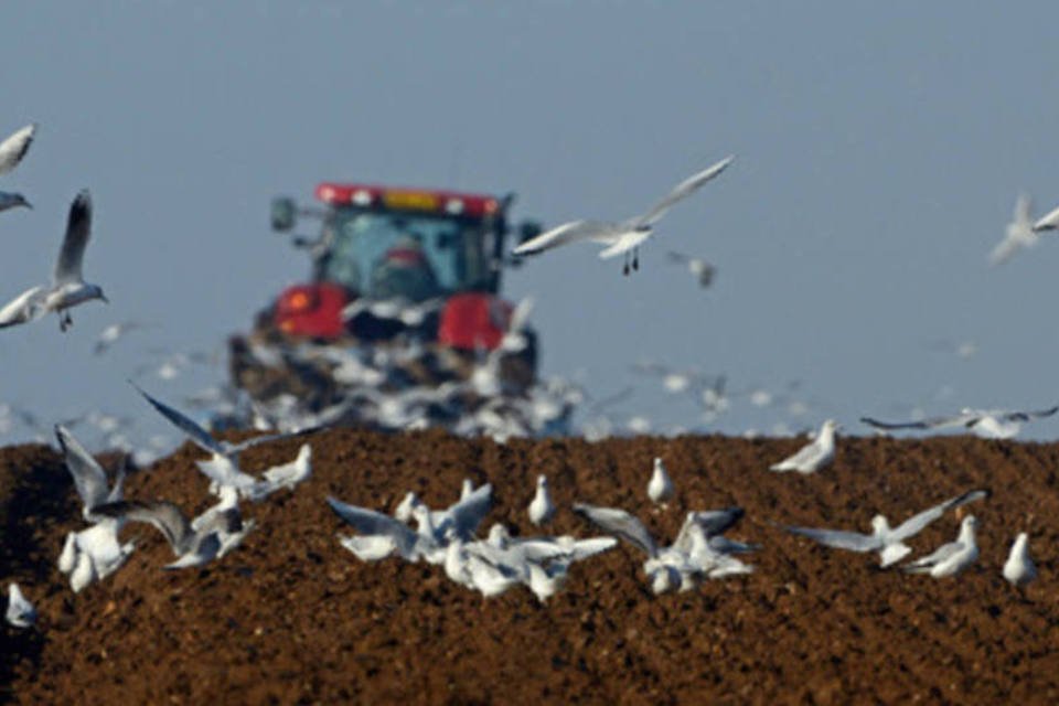 Nova lei agrícola dos EUA será atrasada para janeiro