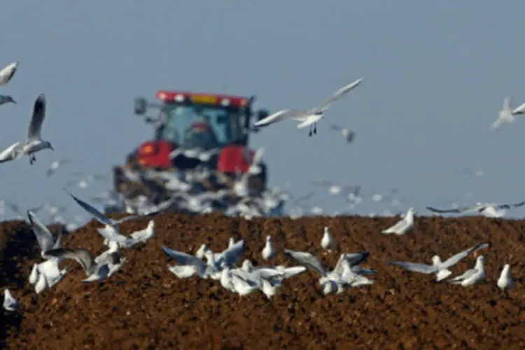 
	Agricultura: ao todo, 12 mil propriedades v&atilde;o receber capacita&ccedil;&atilde;o
 (Getty Images/Getty Images)