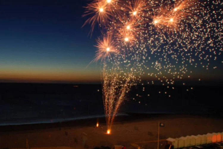 Fogos de artifício: veterinária da Cobasi Juliana Didiano explica que, mesmo sem ser atingida pelos fogos, a cadela pode ter sofrido uma reação que causou, por exemplo, um ataque cardíaco (Getty Images/Getty Images)