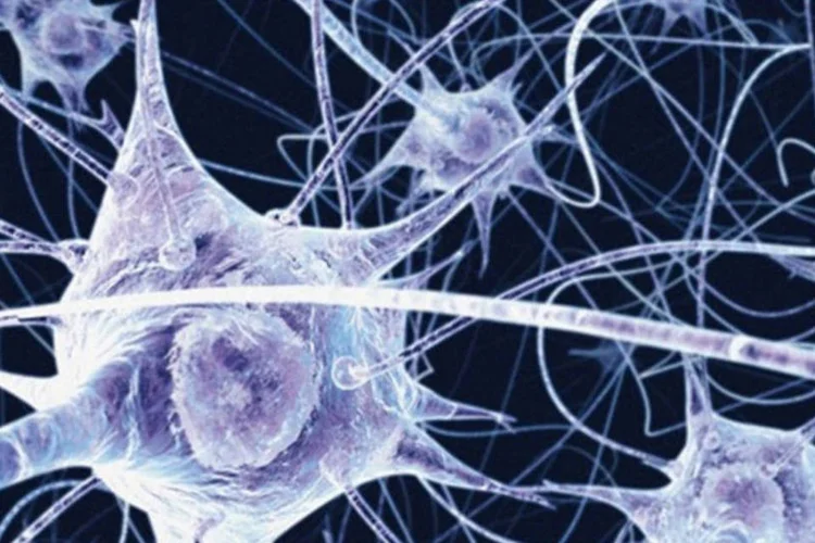 Neurônios (Photopin)