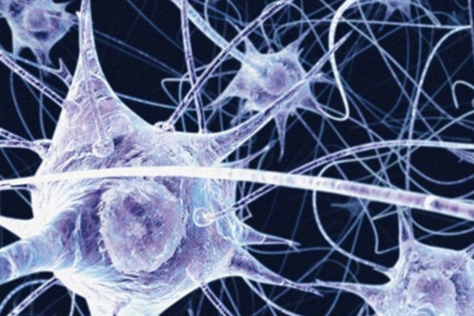 Neurônios: “neuroplasticidade” é a capacidade que o cérebro possui de reorganizar seus caminhos sinápticos (Photopin/Reprodução)