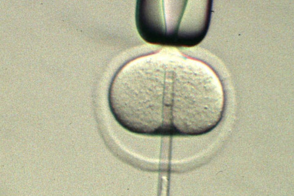 CFM altera regras para fertilização assistida no país