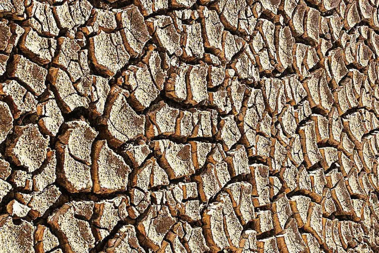 Chão castigado pela seca (Tomas Castelazo/Wikimedia)