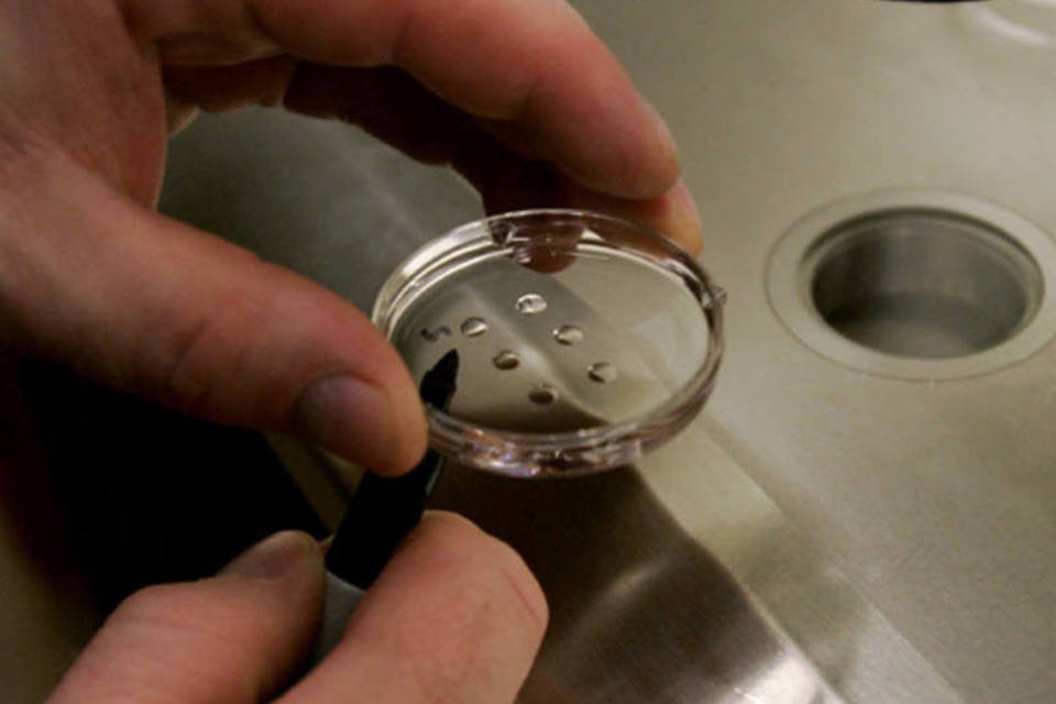 Cientistas britânicos poderão alterar embriões humanos