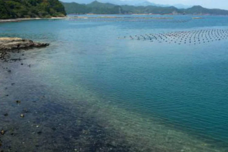 
	Uma enseada da cidade de Taiji: porto da cidade j&aacute; possui uma reserva com cet&aacute;ceos para aumentar o turismo, mas as autoridades municipais querem desenvolv&ecirc;-la em grande escala
 (AFP)