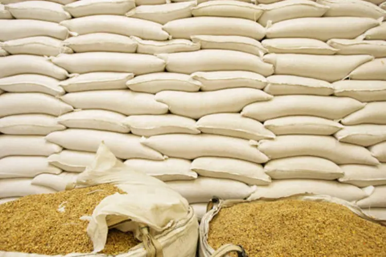 
	Gr&atilde;os de milho em sacos para exporta&ccedil;&atilde;o: Brasil est&aacute; come&ccedil;ando a colher uma segunda safra recorde de milho
 (Brent Stirton/Getty Images)
