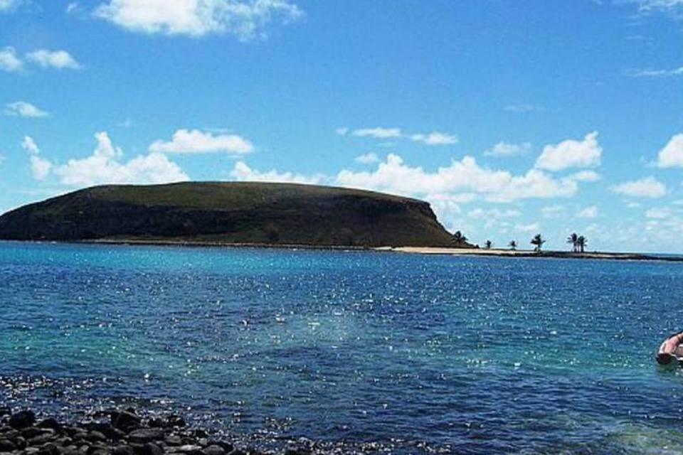 Brasil tem maior "recife de algas" do mundo