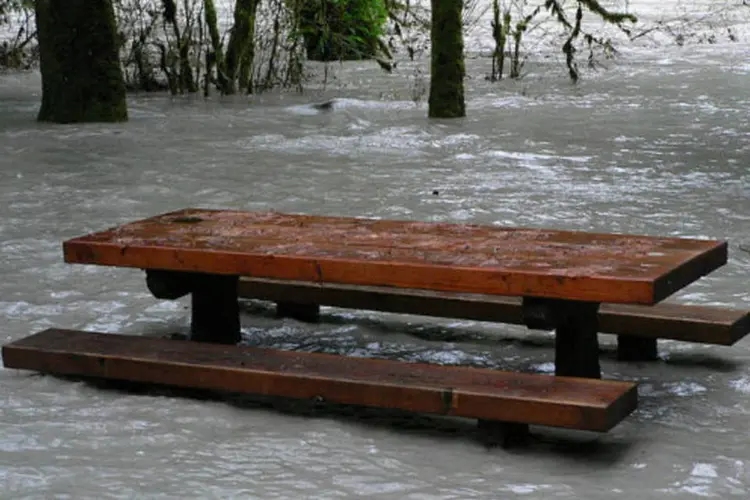 
	Banco em meio a alagamento causado por chuva: Uma mulher morreu e outra est&aacute; desaparecida ap&oacute;s as &aacute;guas terem levado o carro onde estavam&nbsp;
 (Wsiegmund / Wikimedia Commons)