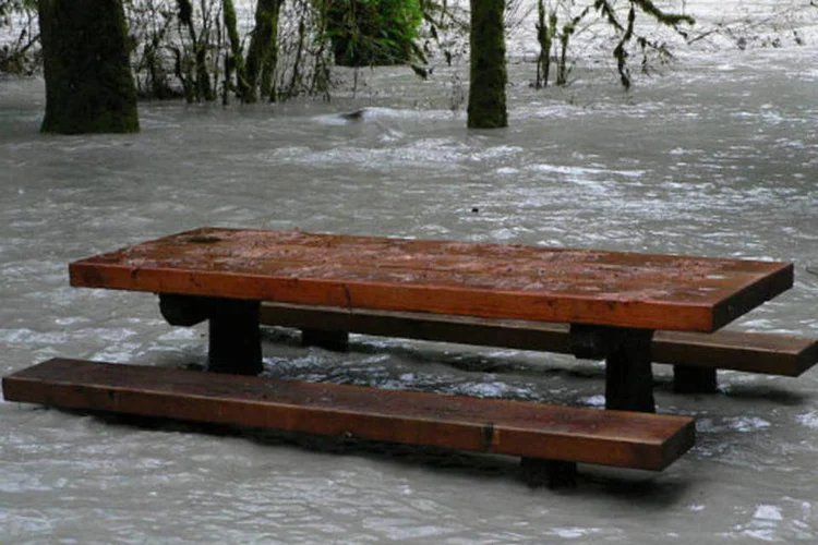 
	Banco em meio a alagamento causado por chuva: Uma mulher morreu e outra est&aacute; desaparecida ap&oacute;s as &aacute;guas terem levado o carro onde estavam&nbsp;
 (Wsiegmund / Wikimedia Commons)