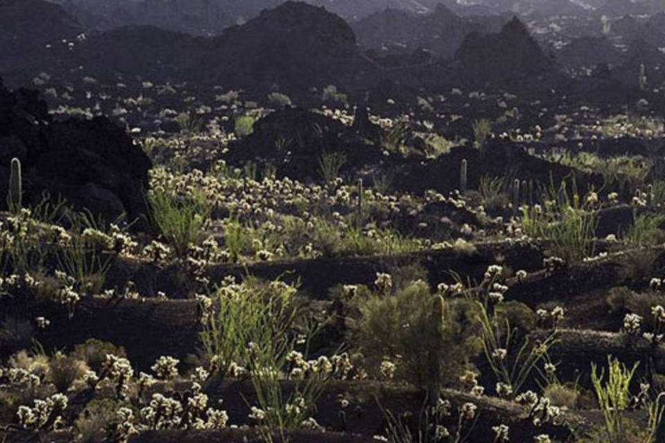 Reserva da Biosfera El Pinacate y Gran Desierto de Altar, México (Wikimedia Commons)