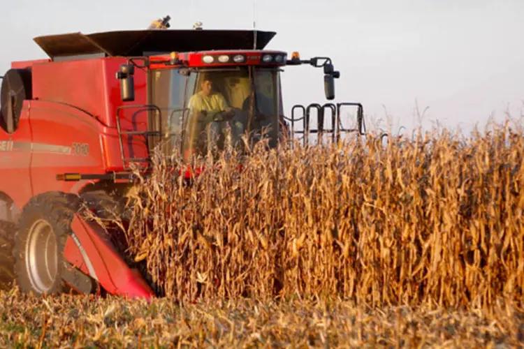 
	Fazendeiro realizando a colheita do milho em uma fazenda perto de Carmi, Illinois: a produtividade do milho em 2013 foi estimada em 157,6 bushels por acre e &aacute;rea de colheita de 88,1 milh&otilde;es de acres (Scott Olson/Getty Images)