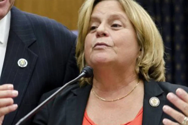 A cubano-americana Ros-Lehtinen citou a suposta falta de "liderança" do Brasil (©AFP/Getty Images / Kris Connor)
