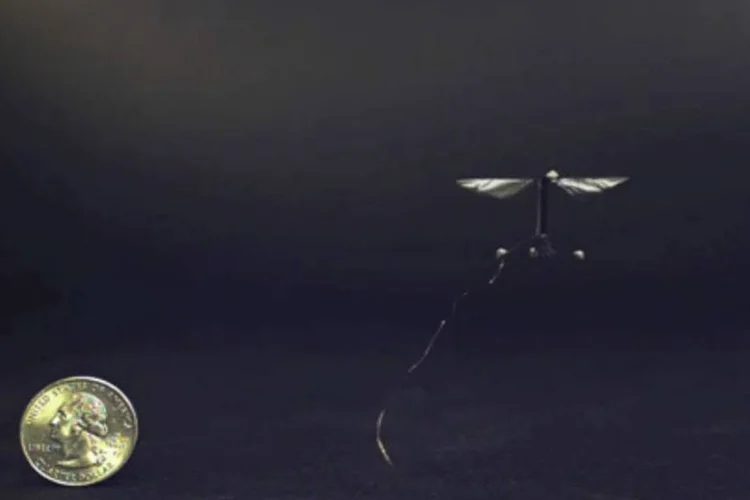 
	Abelha Rob&ocirc;: o nome RoboBee n&atilde;o &eacute; s&oacute; um apelido fofo, a pequena m&aacute;quina realmente copia as caracter&iacute;sticas das abelhas
 (Reprodução/ AAAS)