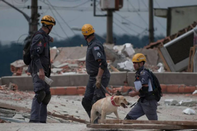 
	Bombeiros usam c&atilde;es farejadores para encontrar v&iacute;timas de desabamento: acredita-se que as duas pessoas sejam as duas &uacute;ltimas debaixo dos escombros
 (Marcelo Camargo/ABr)