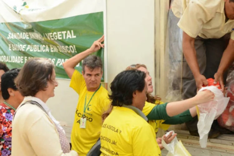 
	Fiscais distribuem frangos duranta manifesta&ccedil;&atilde;o: segundo o presidente do Sindicato Nacional dos Fiscais Federais Agropecu&aacute;rios, 2.950 fiscais atuam em todo pa&iacute;s, por&eacute;m o n&uacute;mero necess&aacute;rio deveria ser de 10 mil pessoas.&nbsp;
 (Antonio Cruz/ABr)