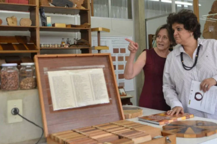 
	Izabella Teixeira e Vera Coradin: al&eacute;m dos usos para o setor moveleiro, os t&eacute;cnicos do LPF pesquisam inova&ccedil;&otilde;es para a constru&ccedil;&atilde;o civil, como casas populares em madeira
 (Agência Brasil)