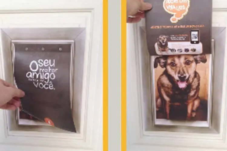 Ação de ONG em São Paulo: objetivo era levar cachorros abandonados das ruas para dentro das casas de possíveis donos (Reprodução/YouTube)