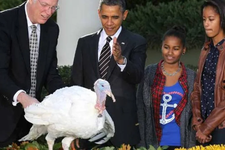 O presidente dos Estados Unidos, Barack Obama, ao lado de suas filhas, Sasha e Malia, e do presidente da Federação Nacional do Peru, Steve Willardsen, perdoam o peru Cobbler no dia de Ação de Graças (Alex Wong/Getty Images)