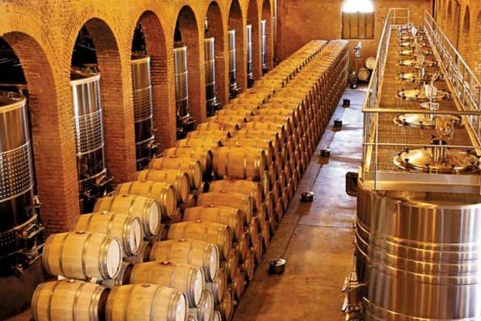 Tonéis em uma vinícula na Argentina: exportações aumentaram 12% em 2010 (Divulgação/Viagem e Turismo/Divulgação)