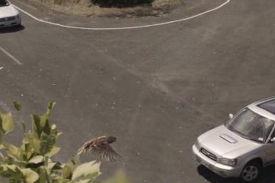Comercial faz pensar duas vezes antes de correr na estrada