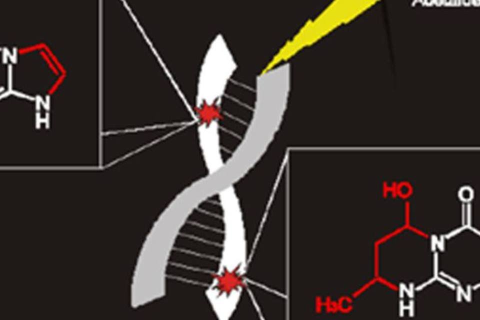 Pesquisadores identificam compostos que induzem mutações no DNA