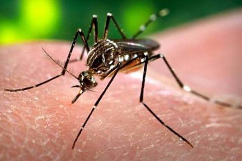 Dublin confirma 2 casos de zika em viajantes