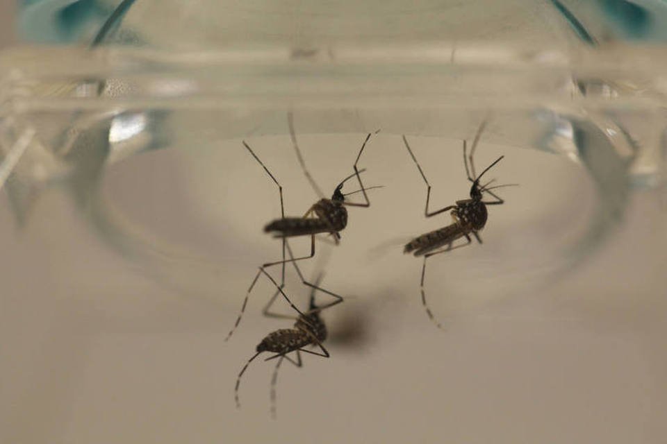 EUA usarão fundos do ebola para combater zika