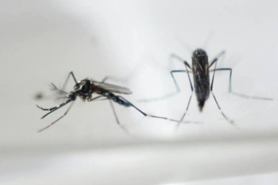 China confirma seu segundo caso de zika