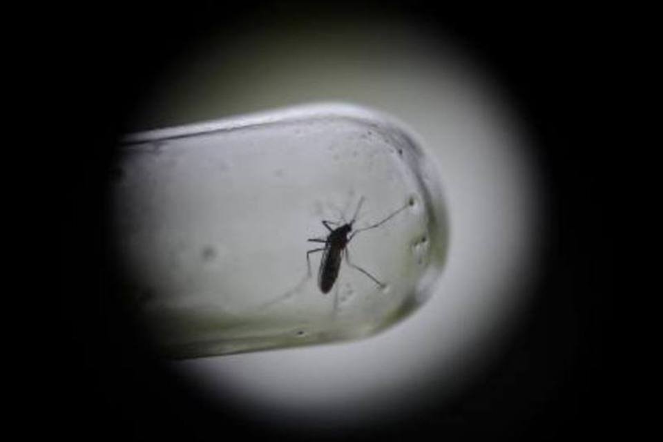 Ministros discutem novas tecnologias de combate a zika