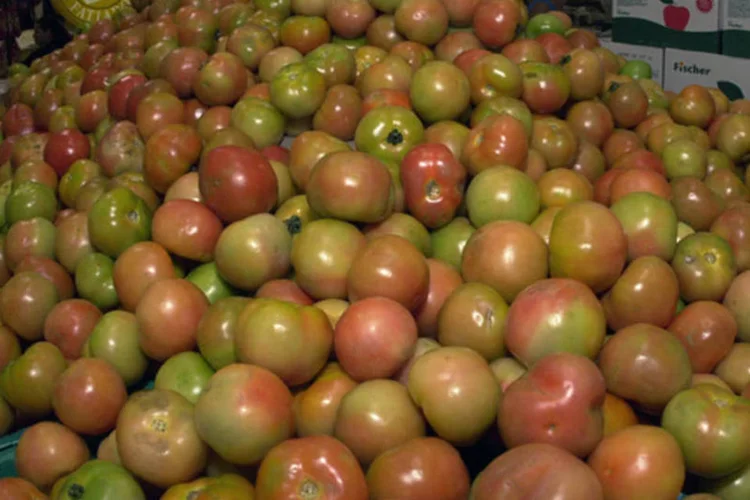 Tomate: a Embrapa Solos está em processo de certificação da qualidade desse material a fim de que o produtor que trabalhe com a técnica possa ter um diferencial de mercado
 (Abr)