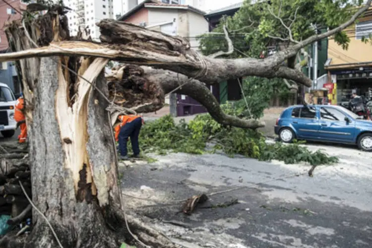 
	A forte chuva que atingiu a capital paulista na noite de ontem deixou estragos pelas ruas: cerca de 100 &aacute;rvores ca&iacute;ram
 (Camila Maciel/Abr)