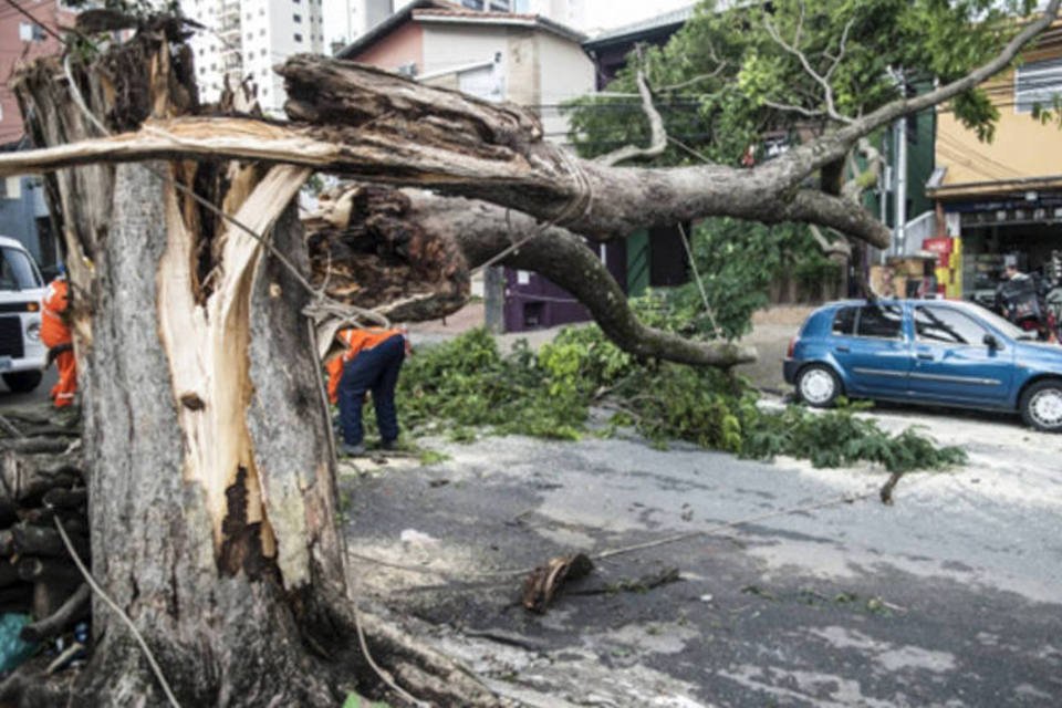 Semáforos quebrados e árvores caídas dificultam o dia em SP