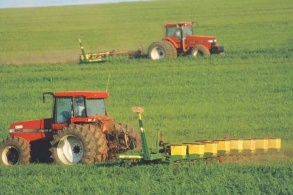 Preços de produtos agrícolas cairão nos 10 próximos anos