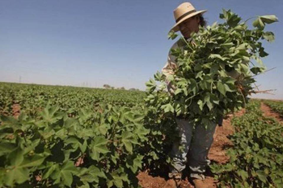 Governo destina 3,2 milhões de hectares para reforma agrária