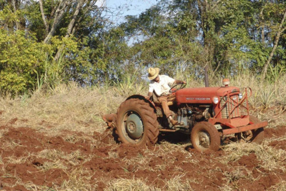 Dilma anuncia medidas de apoio para agricultura familiar