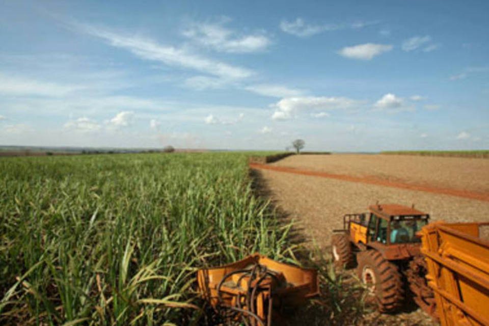 Segundo a revista, o sucesso da agricultura no Brasil se deve principalmente à "maneira" como é feita, em oposição aos "agro-pessimistas" (.)