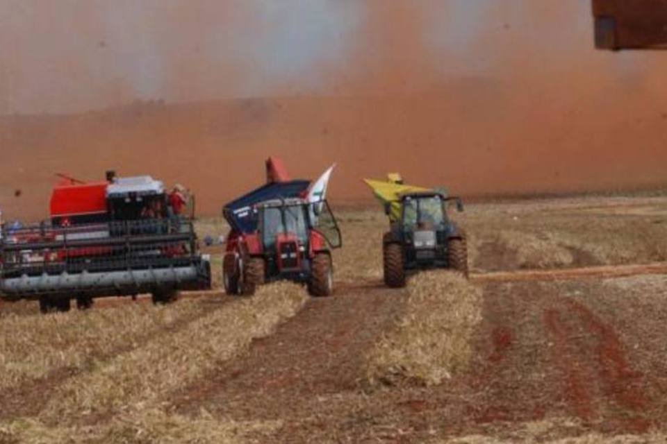 Brexit pode facilitar abertura de mercado agrícola ao Brasil