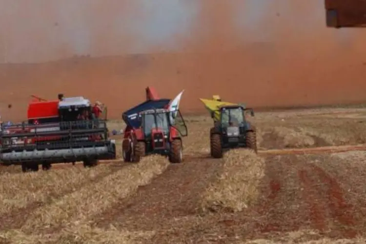 
	Agricultura: cana-de-a&ccedil;&uacute;car, arroz, soja, milho e feij&atilde;o s&atilde;o as culturas que mais ocupam &aacute;reas irrigadas
 (Arquivo/Agência Brasil)