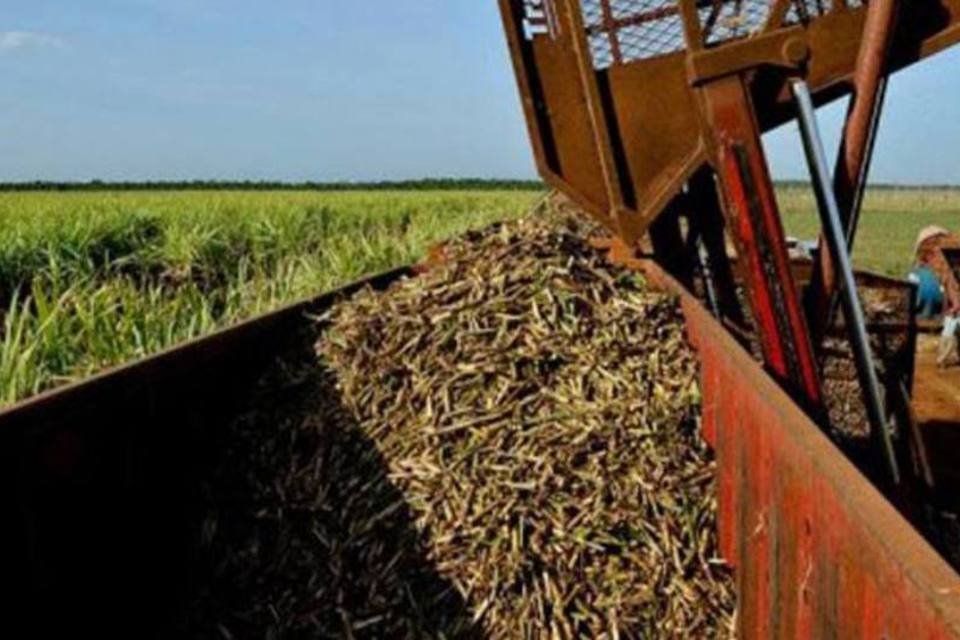 Vendas de máquinas agrícolas sobem 2,4% em novembro