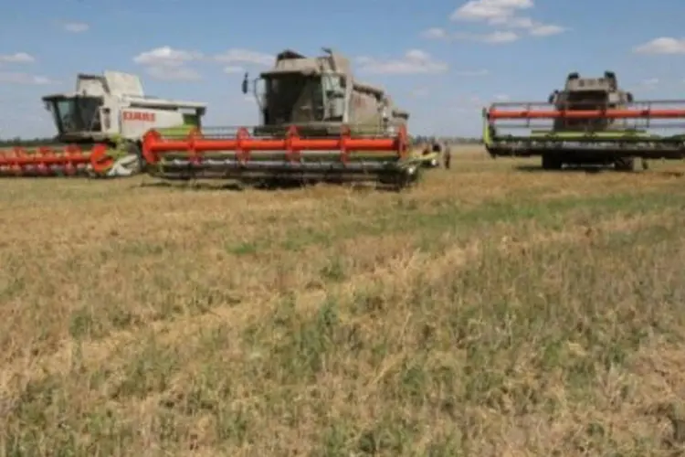 A Ucrânia permitiu a venda de 2 milhões de toneladas de milho, e de 500 mil toneladas de trigo e de cevada (AFP/Genya Savilov)