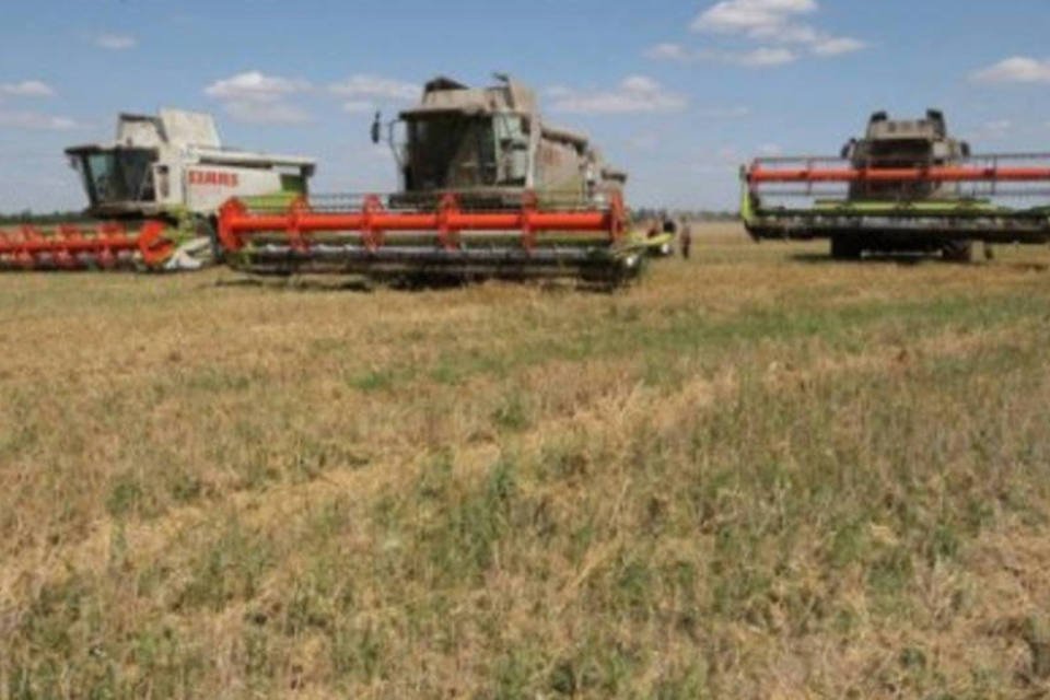 Ucrânia limita suas exportações de cereais