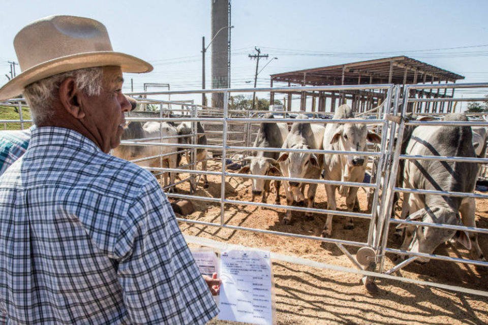 Plano Safra libera R$ 1,2 bi para agricultura familiar em SP