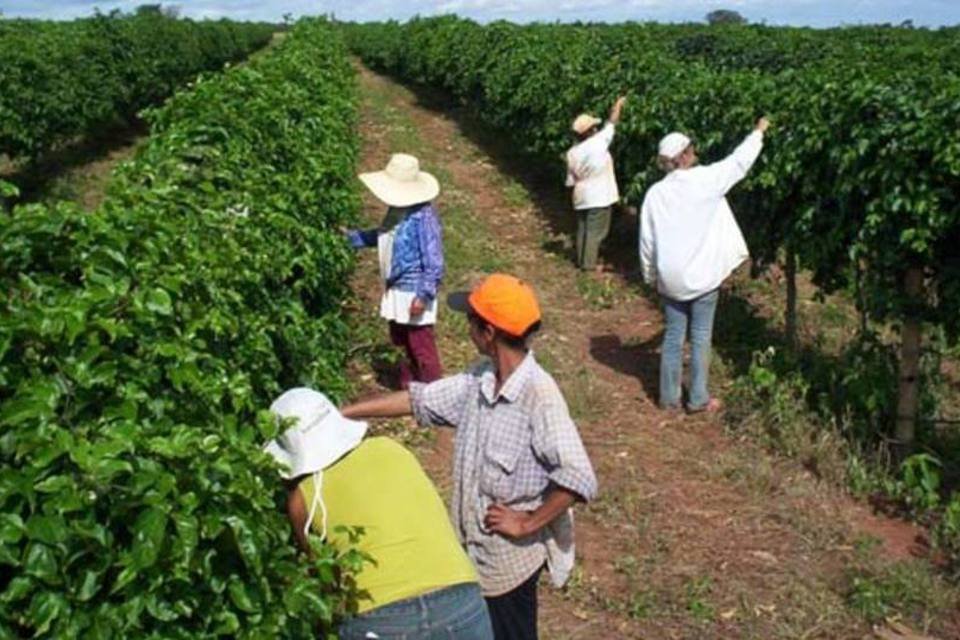 Governo brasileiro vai apoiar agricultura familiar na Colômbia
